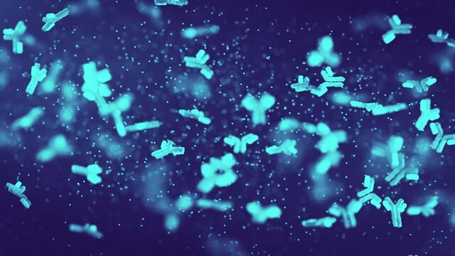 IgA, IgM oder IgG Antik&ouml;rper zirkulieren im Blut, bereit zur Virus Abwehr - Loop 3D in 4K