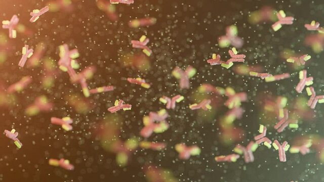 Antik&ouml;rper bek&auml;mpfen Virus - Thema Impfung oder Booster Impfung - 3D Animation - Loop