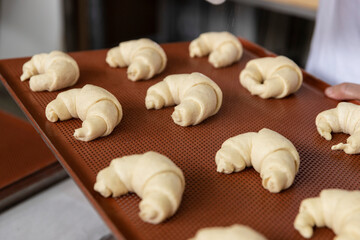 Fototapeta na wymiar croissant in the baking