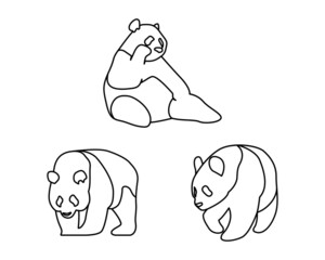 Set of Panda Bear with Black Outline in White Background. Isolated animal outline for coloring