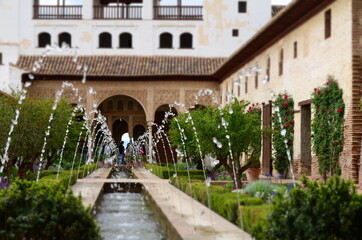 Fototapeta na wymiar Alhambra Garden