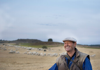 happy shepherd grazing a flock of sheep in a field 