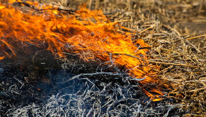 Close-up background of fire is rising from burning straw to black ash and smoke
