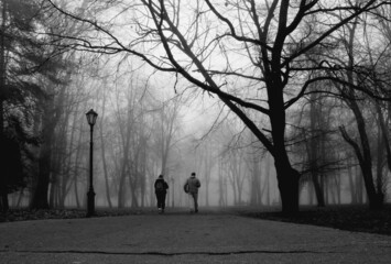 Two people walking in the foggy park