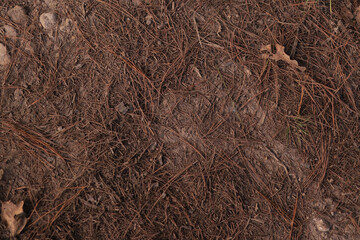 Textura Tierra 