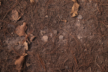 Textura Tierra 