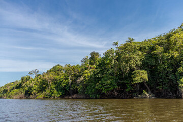 Landscape of a brazilian Amazon region with the river, rainforest and blue sky in the background.