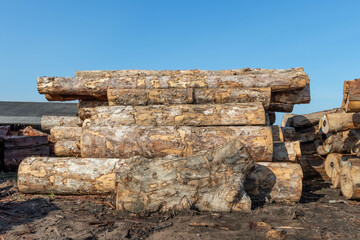 Stack of logs extracted from an area of ​​Brazilian Amazon rainforest.