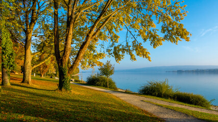 Herbst Ferien am schönen Bodensee mit blauen Himmel und Sonnenschein 
	