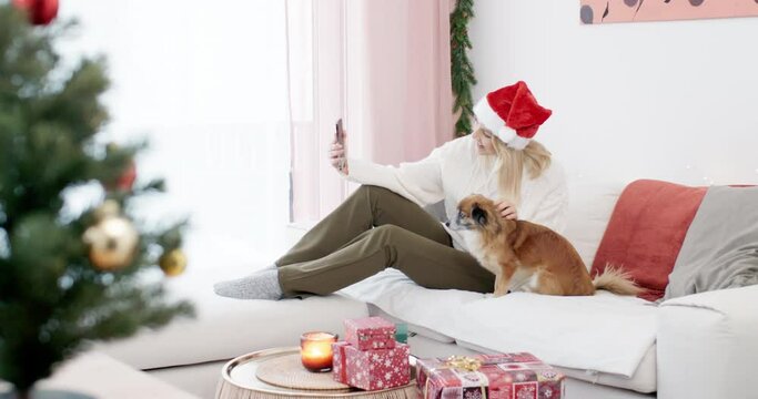 Young smiling woman wearing a santa hat making video call on cosy couch with puppy dog and opens christmas gift in front of selfi cam shot in 4k