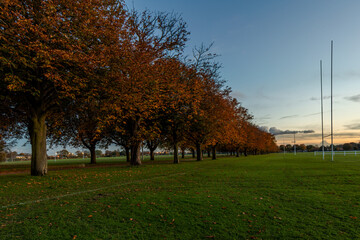 Naklejka premium Autumn colours at Enfield playing field near Donkey Lane