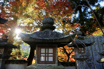 japanese garden lantern
