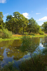 Fototapeta na wymiar Beautiful view of the river on a bright sunny autumn day. Sluch .Belarus