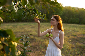 Woman in white dress on nature apples fruits lifestyle