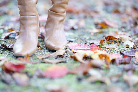 落ち葉の上を歩く女性の足元