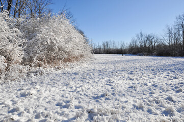 Obraz premium plain meadow covered in snow