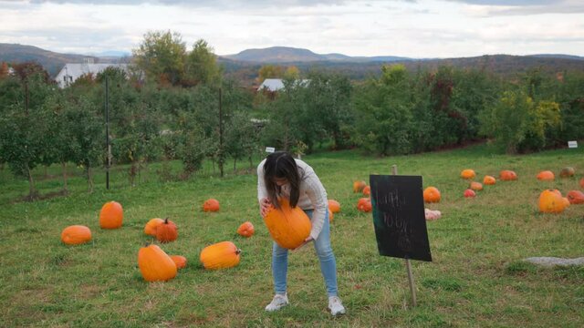 Scenic Shot Of An Attractive Young Asian Woman Picking Up A Pumpkin In A Field.