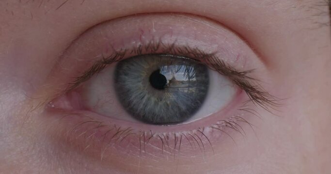 Close Up of a Woman's Blue Eye