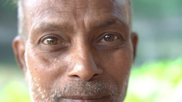 Close up portrait head shot of a senior potter artist busy in making terracotta elephant, a traditional doll of Panchmura Bankura, used as home interior as well as Hindu religious purpose.