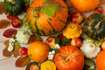 Fall green, orange, striped pumpkins, snowberry decor