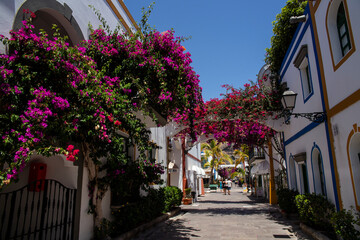 Fototapeta na wymiar Flowery streets in Spain