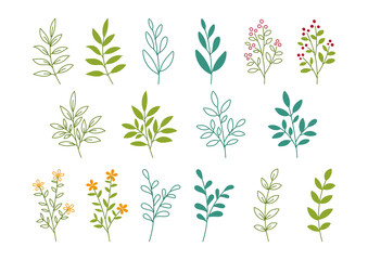 植物の線画とシルエットのイラスト素材　カラー