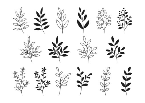 植物の線画とシルエットのイラスト素材　モノクロ