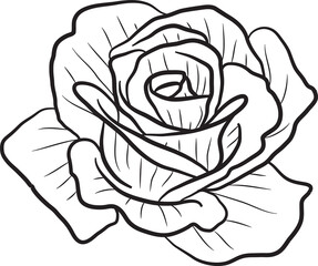 Date-Flower-Floral-Arrangement