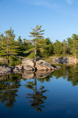 Pinetree reflecting in the water along the rocky shore of Franklin Island on Georgian Bay on a calm summer day