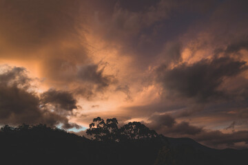 pink and orange sunset clouds formation over the mountains with eucalyptus gum trees in the foreground