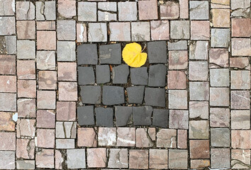 Yellow leaf lies on the sidewalk