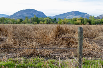 view of distant mountains from a farm field in Oliver, British Columbia in springtime
