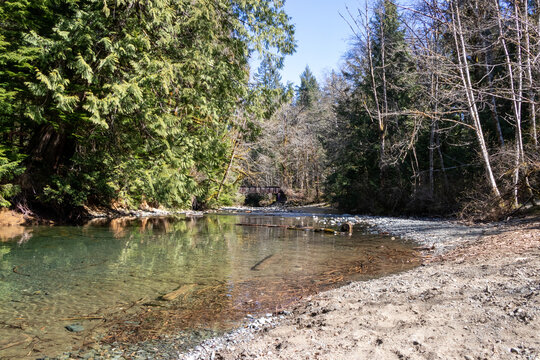 An Old Railway Bridge Crossing A River On Vancouver Island, British Columbia, Canada