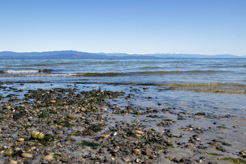 view of snow capped mountains from a beach on the pacific coast