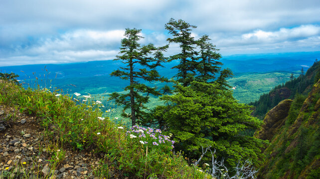 Saddle Mountain State Natural Area Park, Oregon