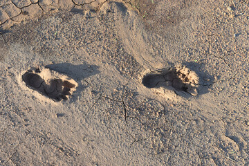 Human footprint on the dry dirt ground.