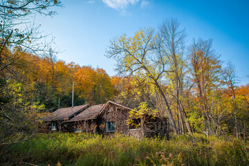 Obraz premium An old home sits abandoned in an Autumn-coloured forest near Boyne Valley, Ontario on a bright and sunny October day.