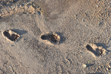 Human footprint on the dry dirt ground.