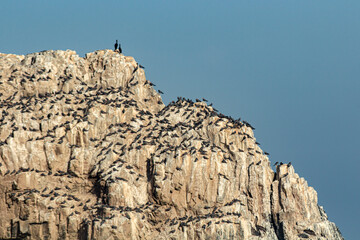 Peñascos de Cerro Azul