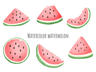 Digital painting watercolor watermelon. Vector illustration
