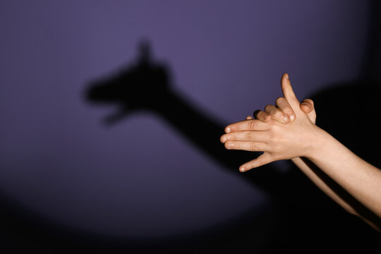 Child making shadow dog with his hands on dark color background