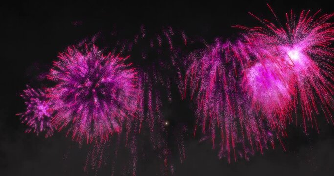 Animation of pink fireworks exploding on black background