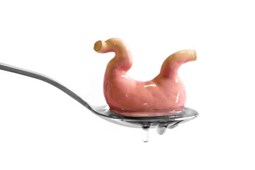 Human stomach in the silver spoon.  Healthy food can be good for your stomach.