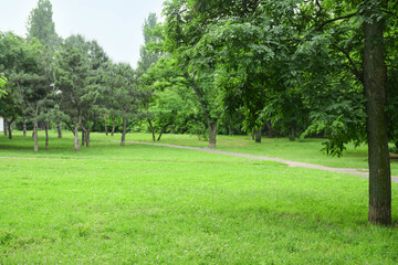 Fototapeta na wymiar Panorama of beautiful city park