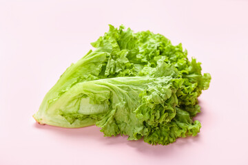 Bunch of fresh lettuce on pink background