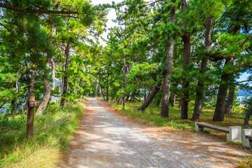 天橋立 周辺の景色