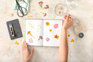 Woman making decoration with dried pressed flowers on light background