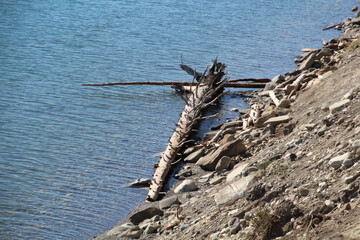 Old Log On The Lake
