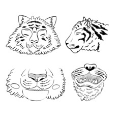 Set with four tiger head vector