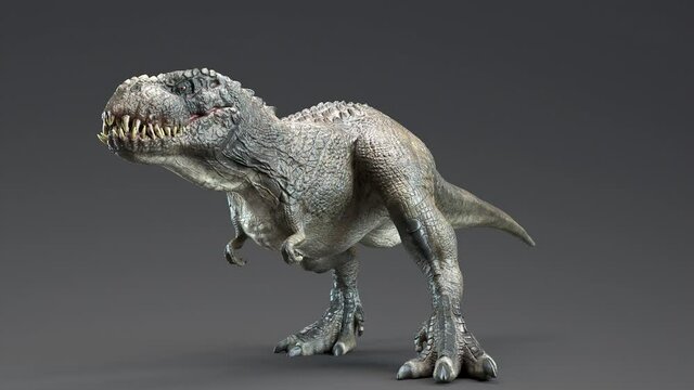 V Rex Dinosaur cinematic roar animation and running attack animation. 3d rendering